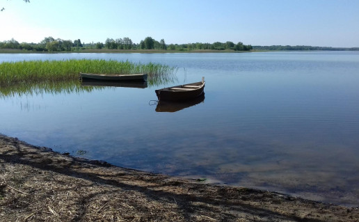 21_gintaru takas  (2).jpg